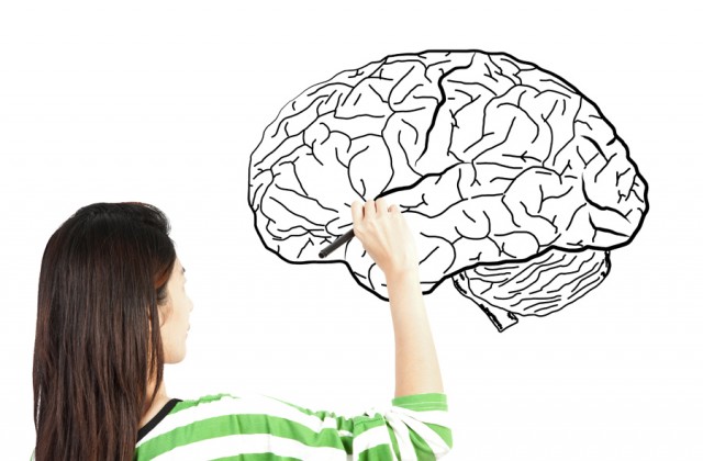 What is neuroplasticity?
